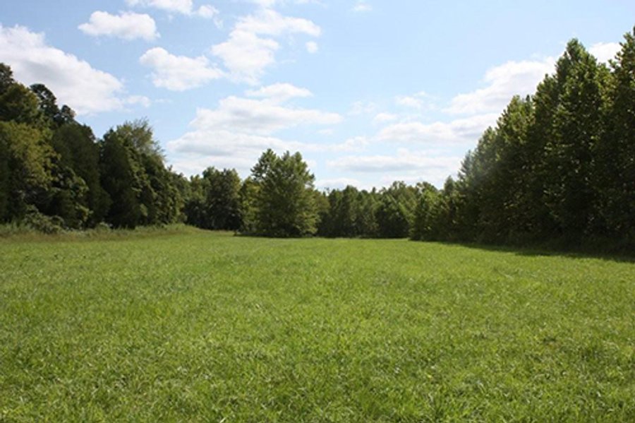 LAND AUCTION - 261+/- ACRES IN BRECKINRIDGE COUNTY